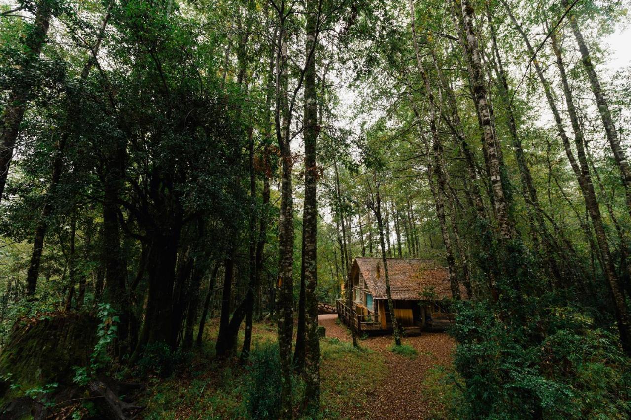 Huilo Huilo Cabanas Del Bosque Puerto Fuy Phòng bức ảnh